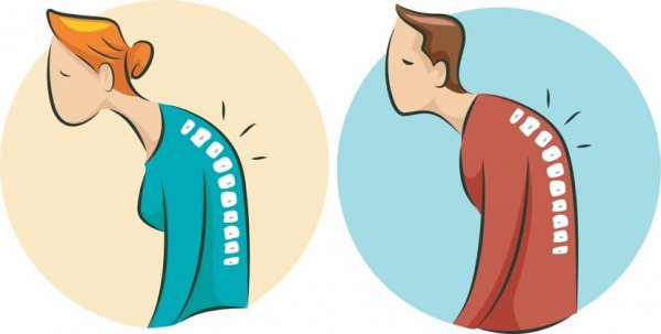 Met een bolle rug toch ondersteund zitten - en comfortabel! · Van Wijk ...